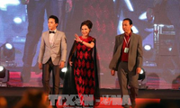 Eröffnung des 20. vietnamesischen Filmfestivals