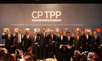 Vietnamesische Unternehmen verhalten sich aktiv für das CPTPP-Abkommen
