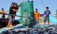 Vietnam erfüllt schrittweise die Empfehlungen der EC für nachhaltige Fischerei
