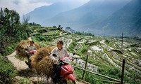 Der Nationalpark Hoang Lien zählt zu den Top 28 interessantesten Reisezielen der Welt 2019