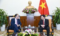Vize-Premierminister Pham Binh Minh empfängt den Staatssekretär des britischen Außenministeriums Mark Field
