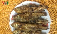 Fische aus dem Tac-Bach im Kreis Phu Yen in der Bergprovinz Son La