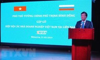Umsetzung des Vietnam-Jahres und des Russland-Jahres