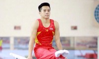 Die Mühe des Turnsportlers Le Thanh Tung für olympische Spiele