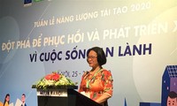 Die vietnamesische Woche der erneuerbaren Energien 2020 fördert die Entwicklung