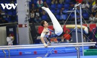 Ein weiterer vietnamesischer Sportler darf sich an den olympischen Spielen in Japan beteiligen