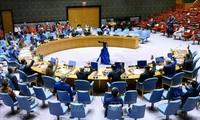 Vietnam ruft zur Lösung der Konflikte in Somalia auf