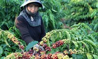 Vietnam weitet die Exportmärkte für Agrarprodukte aus