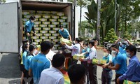 Dong Thap exportiert erstmals Mangos zum neuen Jahr nach Europa 