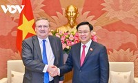 Parlamentspräsident Vuong Dinh Hue empfängt den ungarischen Botschafter