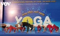 Eröffnung des internationalen Yoga-Festes in Da Nang