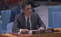Vietnam betont den konsequenten Standpunkt über die Palästina-Frage