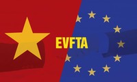 Vietnamesische Unternehmen nutzen Freihandelsabkommen zwischen Vietnam und der EU
