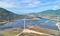 Kooperation in Windenergie zwischen JICA und der Provinz Ninh Thuan