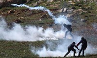 Zahlreiche europäische Länder zeigen sich tief besorgt über Spannungen zwischen Palästina und Israel