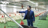 Bauern in Quang Ninh erfolgreich dank der digitalen Transformation in der Tierzucht