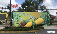 Dong Thap wird das Mango-Fest 2023 organisieren