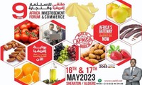 Werbung für vietnamesische Waren im afrikanischen Handels- und Investitionsforum
