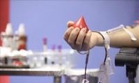 Weltblutspendetag: Unterstützungen für Blutspender