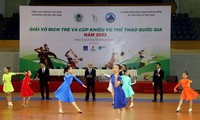 Die nationale Tanzsport-Meisterschaft in Da Nang