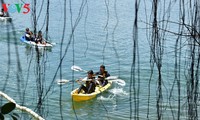 Une course de kayak sur le lac Phú Ninh