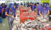 Thượng viện Mỹ bãi bỏ chương trình giám sát cá da trơn của Bộ Nông nghiệp Mỹ