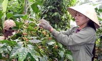 Việt Nam và Angola tăng cường hợp tác nông nghiệp