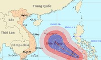 Việt Nam chuẩn bị ứng phó với bão Bopha