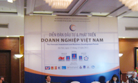 Diễn đàn đàn đầu tư và phát triển doanh nghiệp Việt Nam