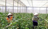 Quốc tế đánh giá cao nỗ lực của Việt Nam trong lĩnh vực nông nghiệp