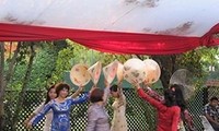 Hoạt động mừng Xuân Quý Tỵ của cộng đồng người Việt ở nước ngoài