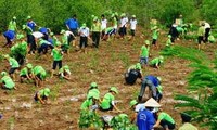 Việt Nam cam kết thực hiện các hoạt động ứng phó với biến đổi khí hậu