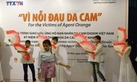 Gần 650 tỷ đồng hỗ trợ cho các nạn nhân da cam/dioxin Việt Nam