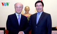 Phó Thủ tướng Phạm Bình Minh tiếp Tổng Giám đốc IAEA