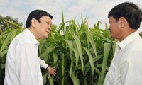 Chủ tịch nước Trương Tấn Sang thăm và chúc Tết tại huyện Củ Chi, Thành phố Hồ Chí Minh 