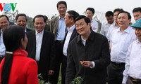 Chủ tịch nước Trương Tấn Sang thăm và làm việc tại Thanh Hóa