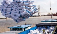 Việt Nam trúng thầu cung cấp 200.000 tấn gạo cho Philippine 