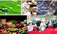 Việt Nam đặt mục tiêu đạt kim ngạch xuất khẩu đạt 165 tỷ USD 