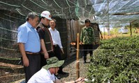 Phó Thủ tướng Hoàng Trung Hải chủ trì họp Ban chỉ đạo Nhà nước về kế hoạch bảo vệ và phát triển rừng
