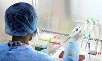 Việt Nam - Vương quốc Anh thúc đẩy hợp tác, nghiên cứu các bệnh truyền nhiễm 