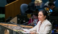 Đại sứ Nguyễn Phương Nga: Các nước ASEAN cam kết nỗ lực chống bạo lực tình dục 