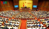 Quốc hội thảo luận về dự thảo Bộ luật hình sự (sửa đổi)