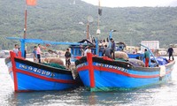 Hội nghề cá phản đối tàu Trung Quốc đâm chìm tàu cá của ngư dân Việt Nam