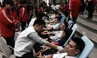 Chương trình hiến máu tình nguyện Chủ nhật đỏ: “Hiến máu cứu người: Sinh mệnh của bạn và tôi"