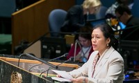 Посол СРВ при ООН: страны АСЕАН обещают приложить усилия для борьбы с сексуальным насилием