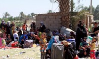 Боевики ИГ захватили иракский город Рамади