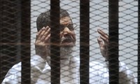 ЕС, США и Италия призвали Египет пересмотреть смертный приговор Мухаммеду Мурси