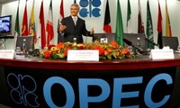 ОПЕК сохраняет политику стабилизации цен на нефть 