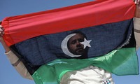 Главы МИД Египта и Италии считают необходимым урегулирование ситуации в Ливии