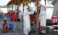 Африканские страны делятся опытом в борьбе с Эболой